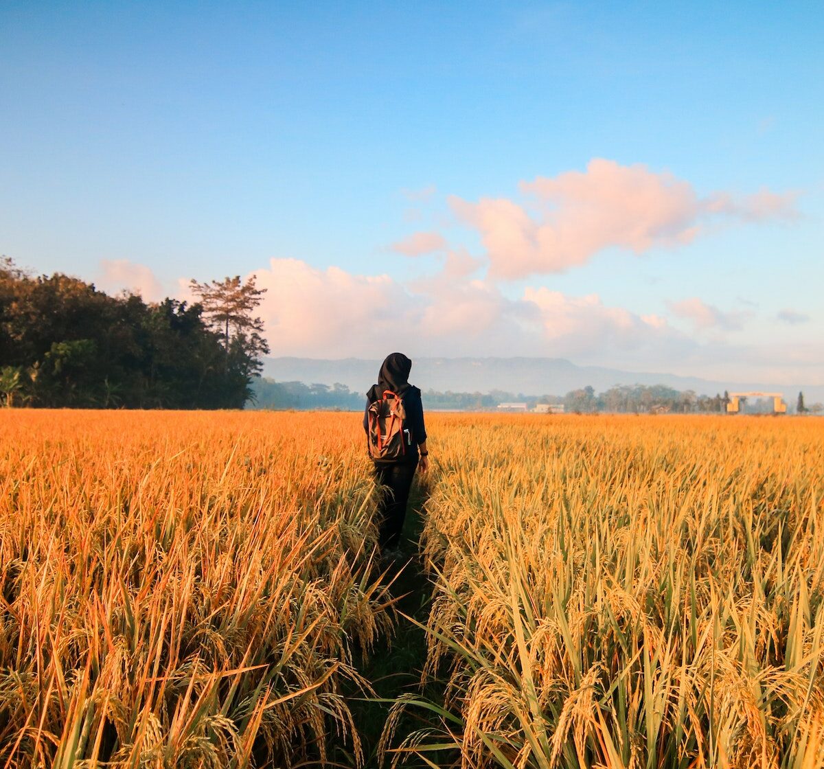 Woman in Black Hijab Headscarf Walking on Field